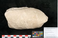 Foto (Objekt + Etikett) von Credneria denticulata Zenk. (NHMW-GEO-2024-0188-10599)